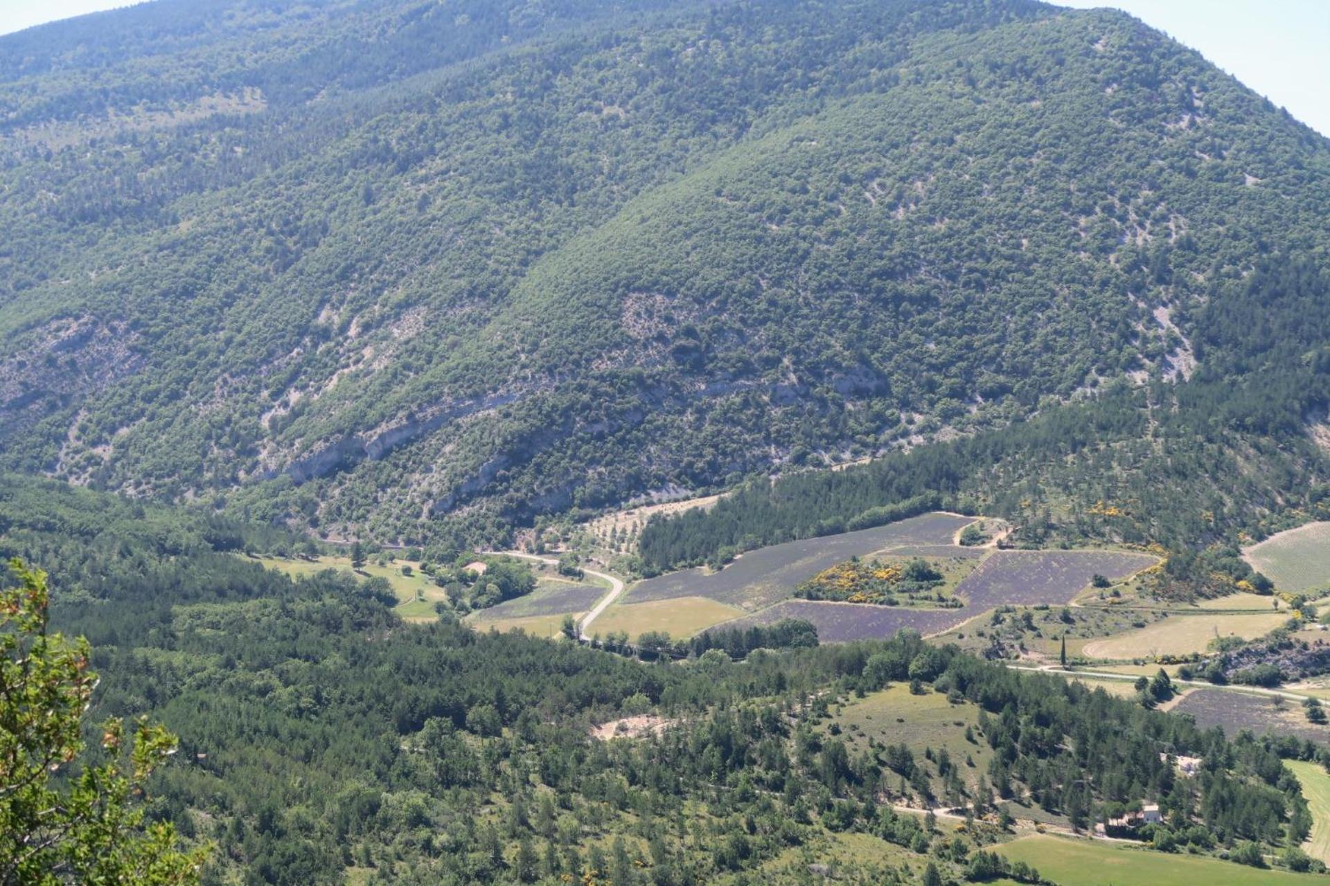 La Terrasse D'Olea, Au Coeur Du Village Buis-les-Baronnies Zewnętrze zdjęcie